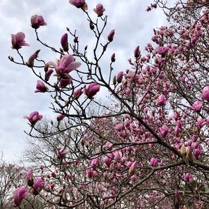 Meet your Posher, Karina